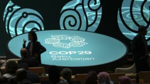 Article : Climat : qu&rsquo;attend l&rsquo;Afrique de la COP 29 ?